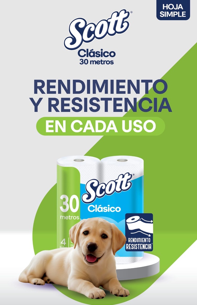 Papel Higienico Bolson 12 pack 4x30m SH Scott