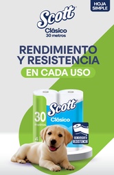 Papel Higienico Bolson 12 pack 4x30m SH Scott